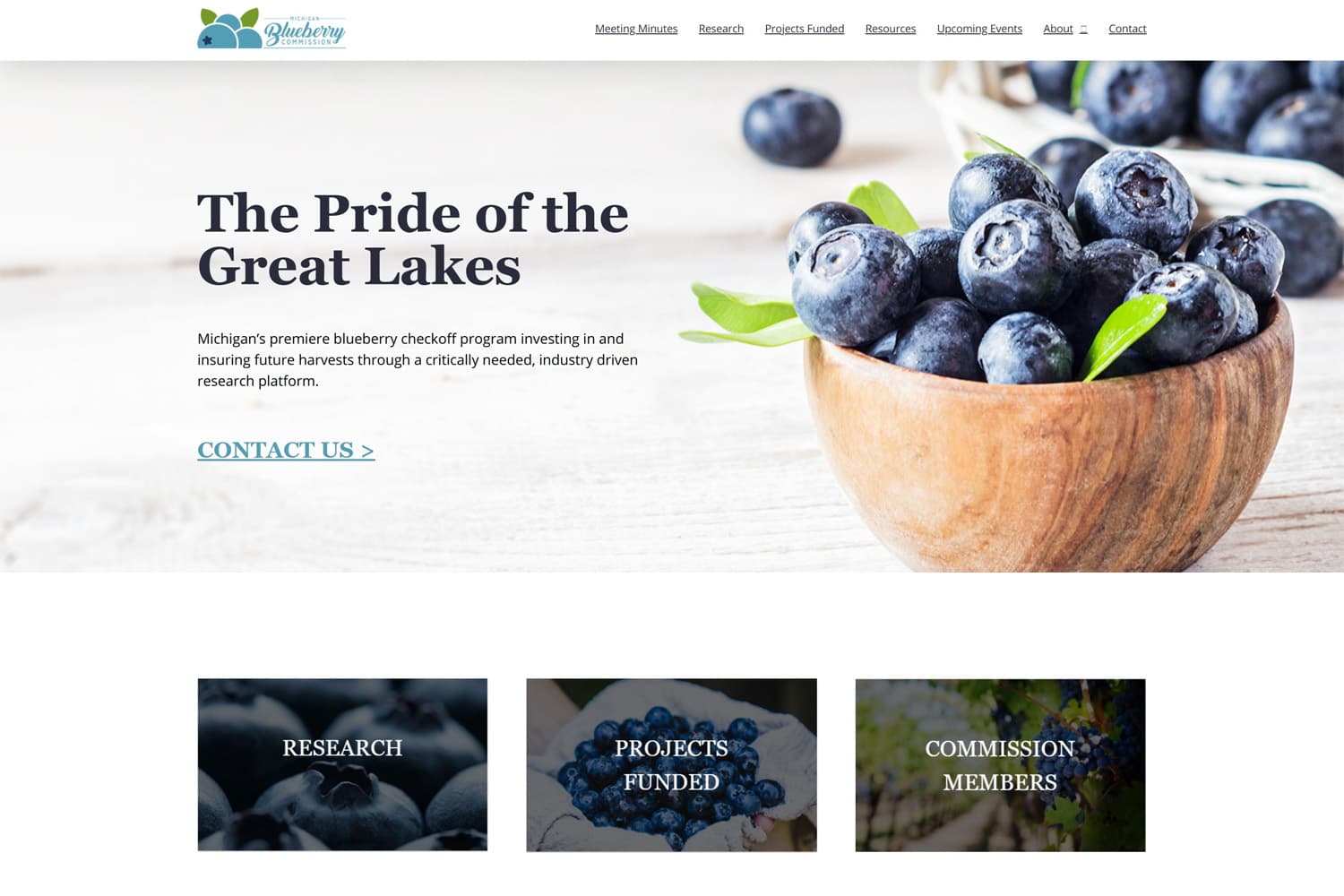 Screenshot of Michigan Blueberry Commission website