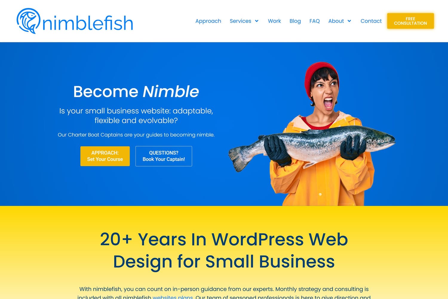 Screenshot of nimblefish website